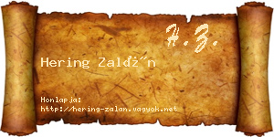 Hering Zalán névjegykártya